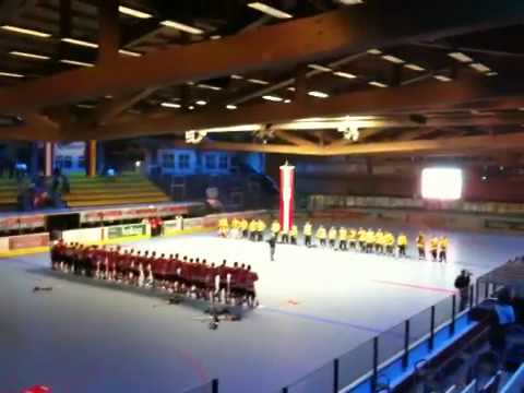 Ballhockey WM2010 Villach