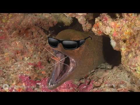 Death Grips Behind the Music 3