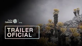 Páramos, el país de las nieblas | Documental de Señal Colombia