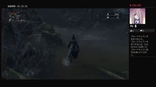 ぐだぐだブラボ