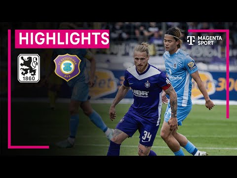 bg-highlight
