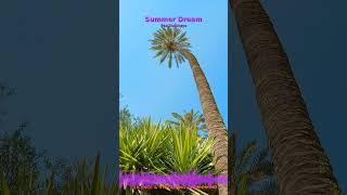 Miniature YouTube : Summer Dream | Musique Ambiante & Relaxation par Soochrys