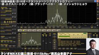 【ラジオNIKKEI第二放送】2021年6月19日＜3回阪神競馬1日＞米子ステークス【競馬ラジオ】