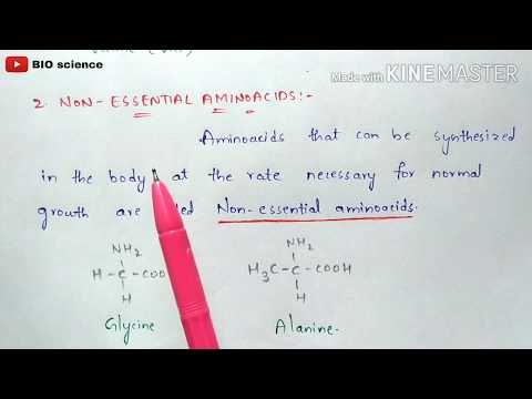 Beta oxidation of Fatty acids Energetics By phanindra