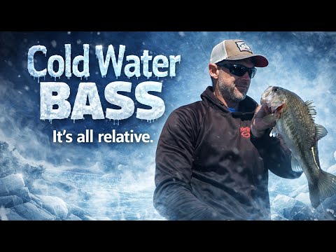 Cold Water Bass