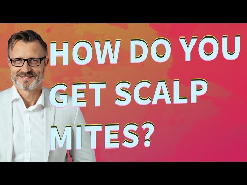 How do you get scalp mites?