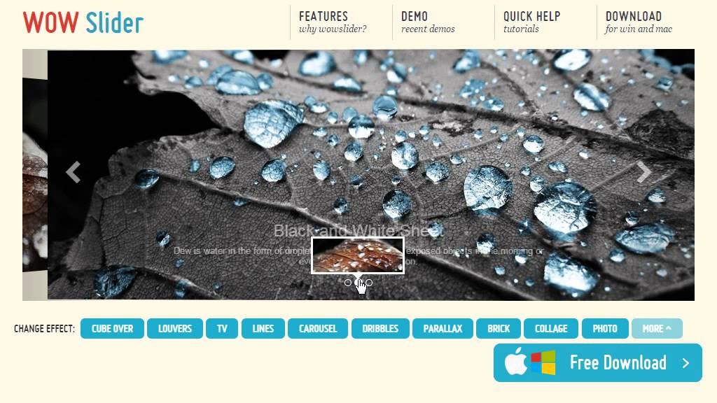 Bootstrap Carousel - beautiful effects!