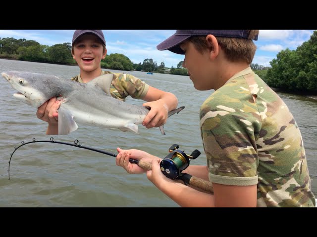 Shark Fishing Logan River - Stabbed By Worlds DEADLIEST Fish