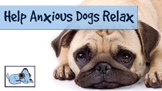 Listen Through A Dogs Ear - Music for Dogs to Help them Relax from Anxiety and Stress