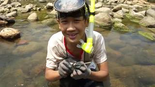 preview picture of video 'Gold prospecting, Underwater sniping in Taiwan - 20140830'