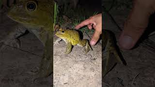 Miniature vidéo