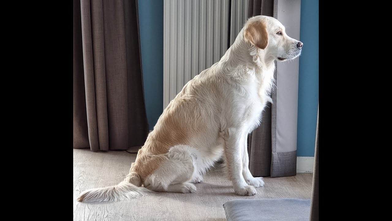 Peanuts Video zum dritten Geburtstag thumbnail