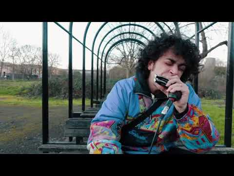Harmonica and beatbox freestyle in the park
