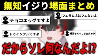 【ミリしら】駄菓子を知らなさ過ぎてリスナーに遊ばれ発狂する地球意思【篝蛇いおラー】