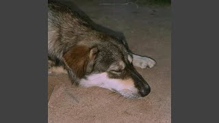 Download lagu sing me to sleep mp3 Download lagu sing me to sleep mp3