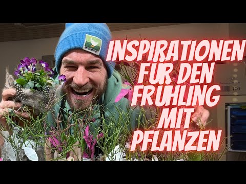 Frühlingshafte Kreationen mit Frühlingspflanzen