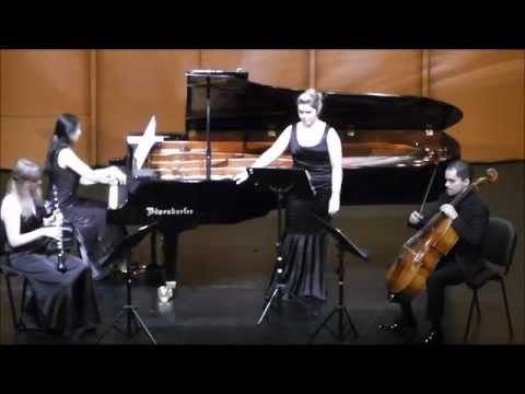 Ensemble Mediterrain - South America 2011