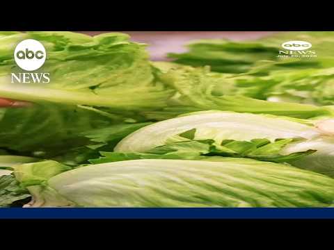 What to know about cyclosporiasis