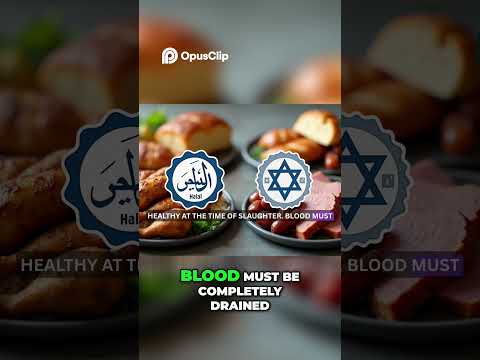 Halal vs Kosher: The ULTIMATE Food Guide! Ask Halal #halal #kosher