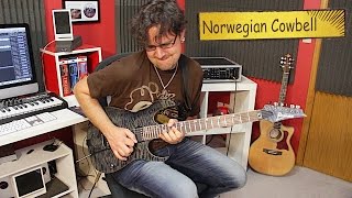 'Norwegian Cowbell' by Paul Gilbert - David Wallimann