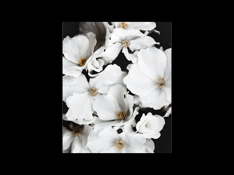 Inmormantare Marta Muntean- 20.02.2022