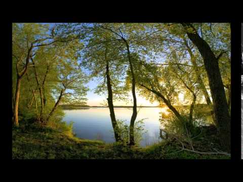 Dennis Sheperd   Bring You Home Radio Edit feat  Chloe Langley