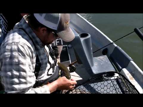 2013 Spring Trip to the Platte