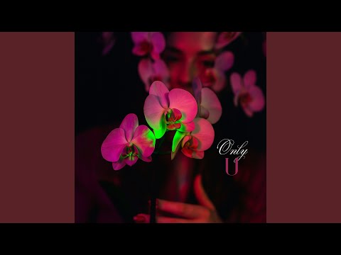 Through the Quiet Window