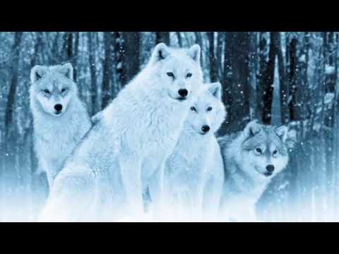 Running With Wolves - Nox Arcana