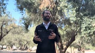 מהו המקום בו פגע יעקב | הרב רועי זאגא (ישיבת הר הבית) - התמונה מוצגת ישירות מתוך אתר האינטרנט יוטיוב. זכויות היוצרים בתמונה שייכות ליוצרה. קישור קרדיט למקור התוכן נמצא בתוך דף הסרטון