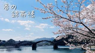 今年も旅、はじめました【福岡から車で日帰り花見旅】