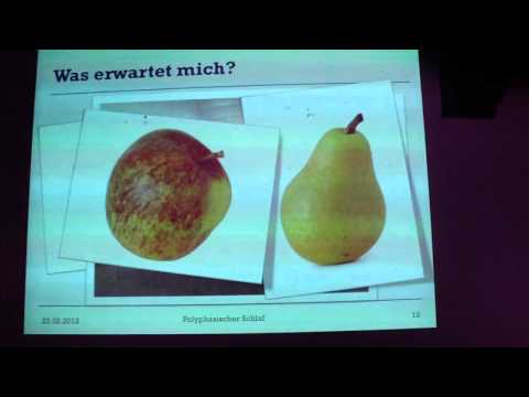 Marcel Rasche: Polyphasischer Schlaf, Nerd Nite München 23.2.2012