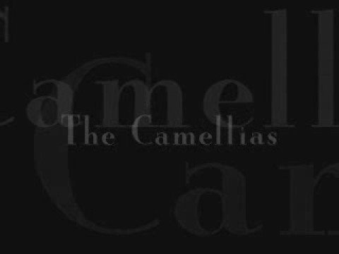 The Camellias Trailer