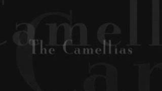 The Camellias Trailer