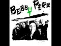 Bobby Peru - Holdat, Napot
