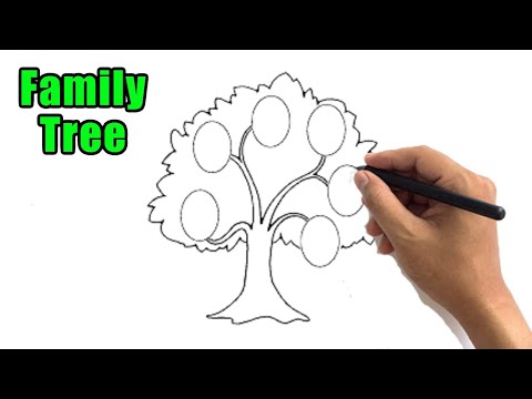 How to Draw a Family Tree Easy Outline Drawing Step by Step Sketch Ideas for Beginners