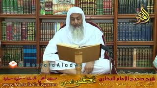 البخاري (484)"جف القلم بما أنت لاق ـ الله أعلم بما كانوا عاملين" ك القدر(6594-6600للشيخ مصطفى العدوي image