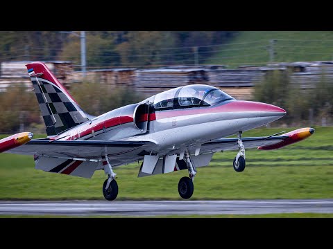 THE PERFECT LANDING. (GERMAN)