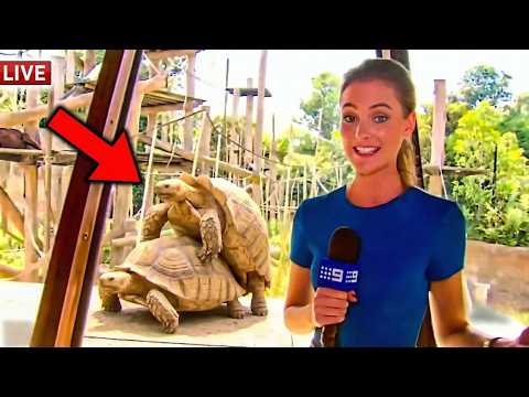 Live News Bloopers That Took an Unexpected Turn
