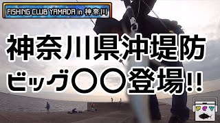 【神奈川県釣り】神奈川県沖堤防。ビッグ〇〇!!!