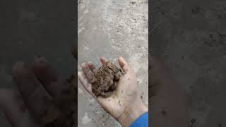 #clay #sand  #mud #shorts