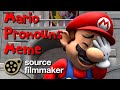 SFM Mario Pronouns Meme