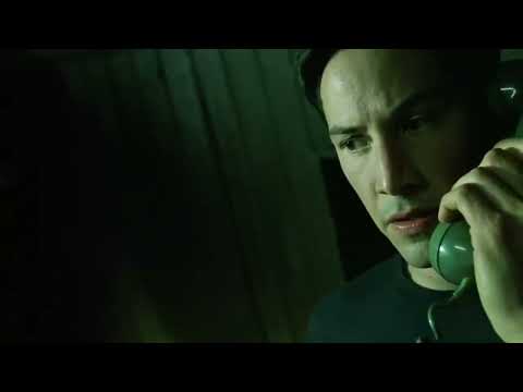 Gangster party line calls Neo