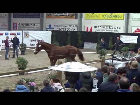 Origi van de Maltahoeve