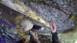 Albisoara Hornurilor 28 sept 2024