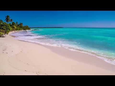 Waves on Saona Island -  Relaxing Beach Sounds of the Caribbean Sea For Study, Meditation and Slee