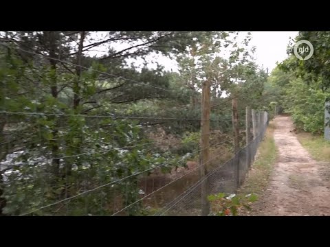 GLD Nieuws 6 oktober 2019 - Zondag 6 oktober