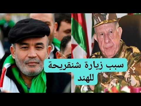 زيطوطيات (1): سبب زيارة شنقريحة للهند!
