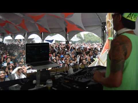 Alien vs The Cat @ Atmoshere Festival XII 2016