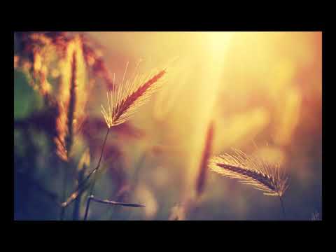 Papuna Sharikadze - Be My Love